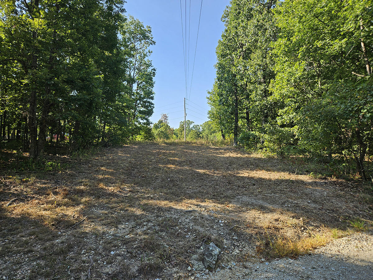 3699 Highway M Property Photo 41