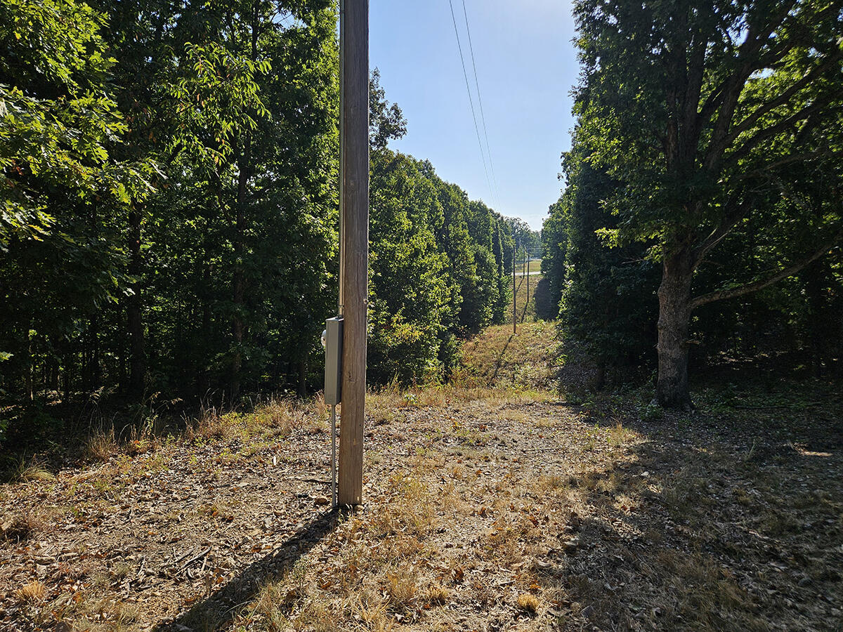 3699 Highway M Property Photo 42