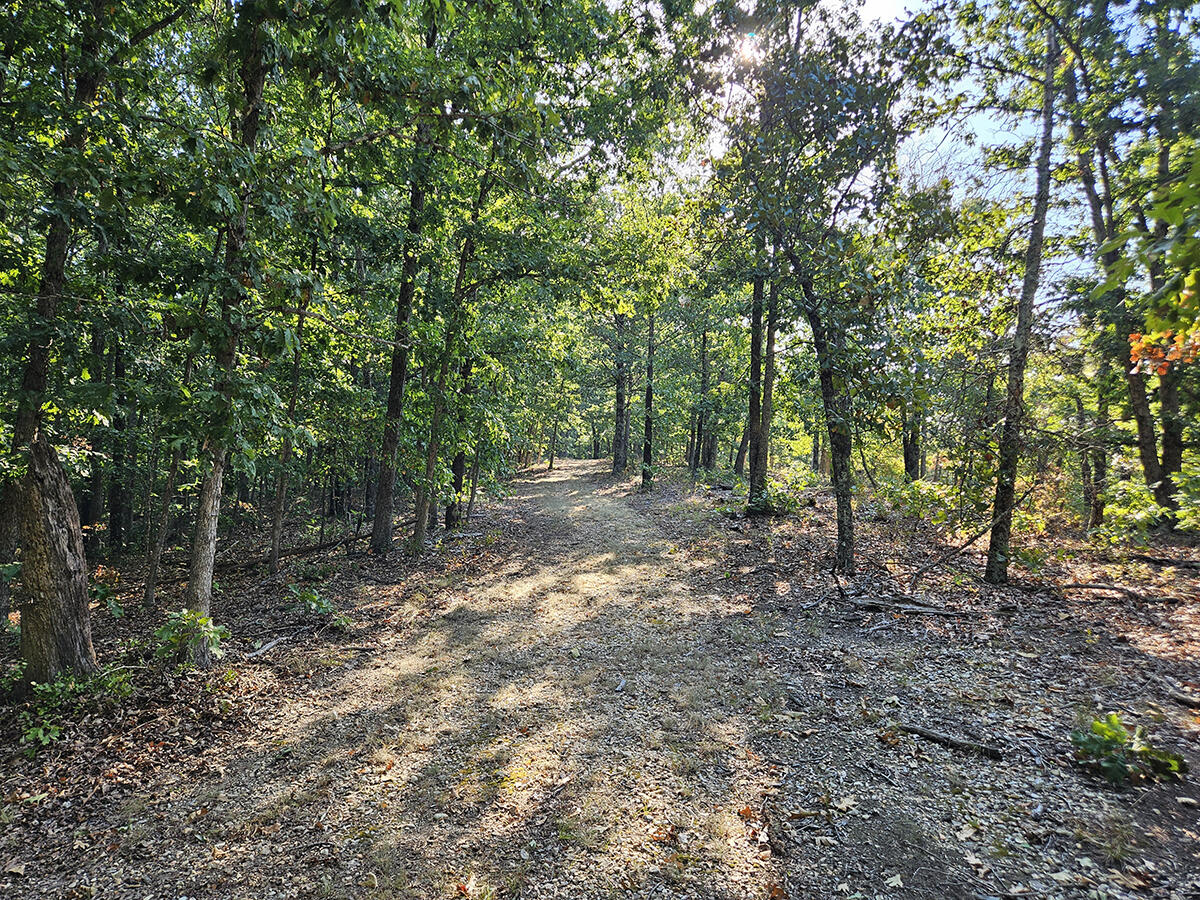3699 Highway M Property Photo 43