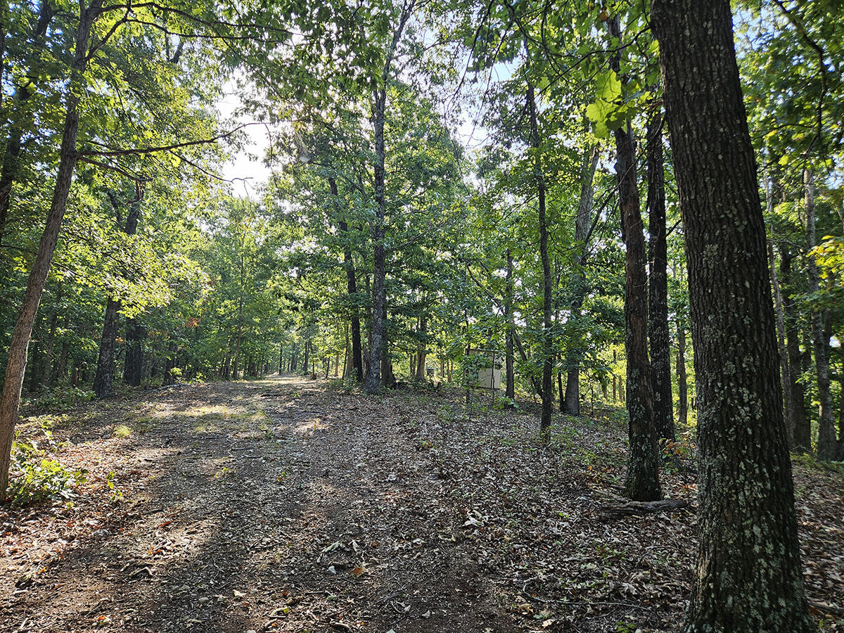 3699 Highway M Property Photo 44