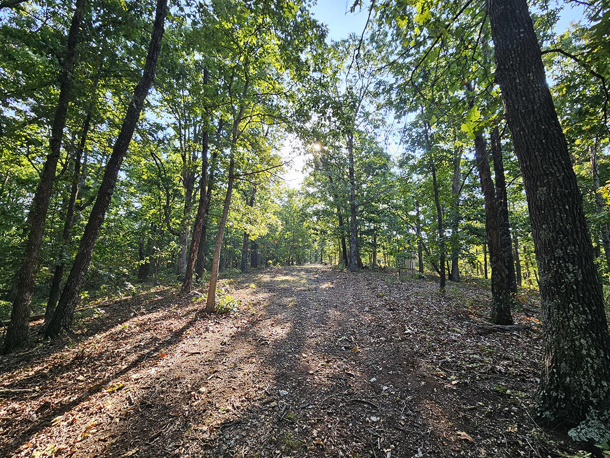 3699 Highway M Property Photo 46