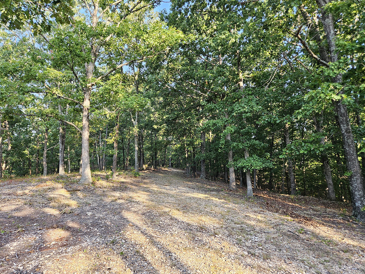 3699 Highway M Property Photo 48