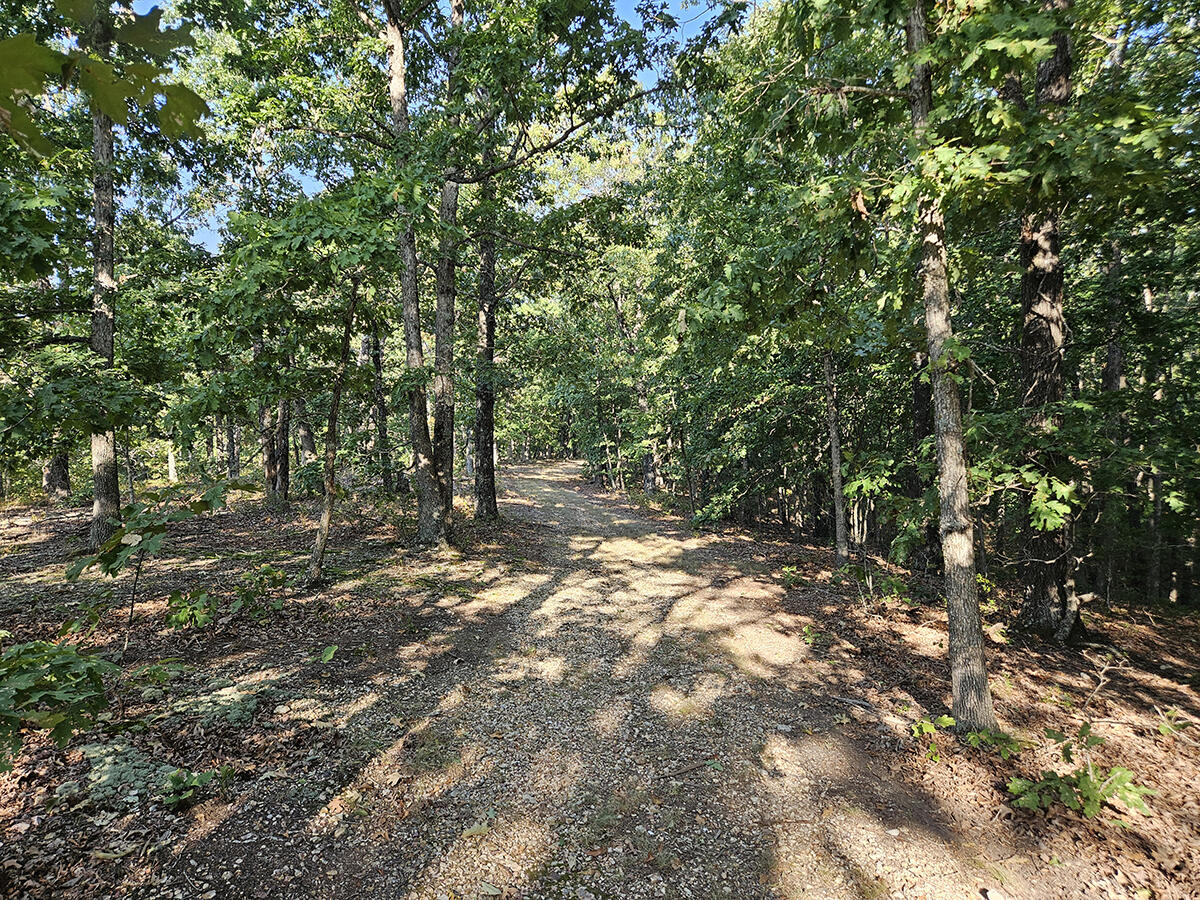 3699 Highway M Property Photo 49