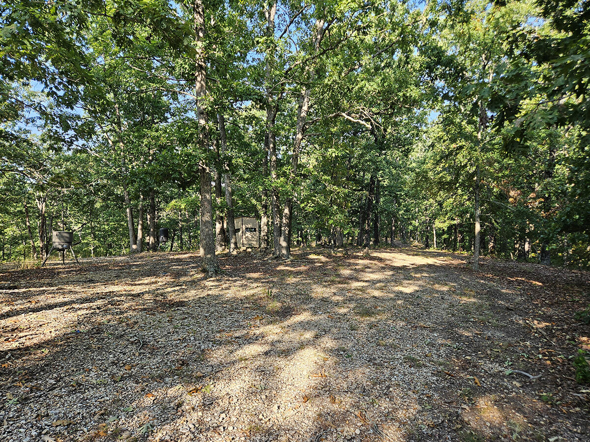 3699 Highway M Property Photo 50