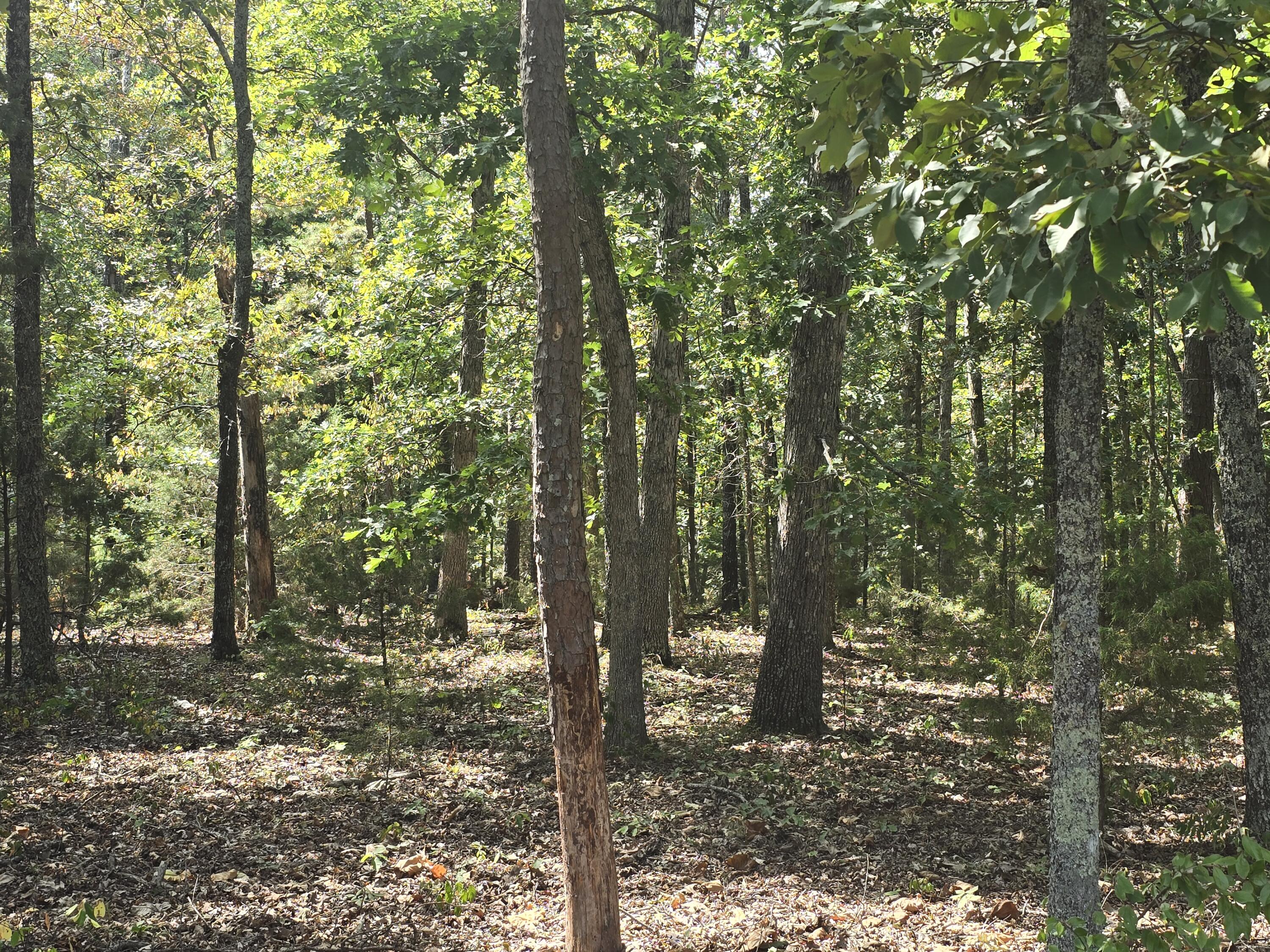 000 Minera Mineral Drive Property Photo 2