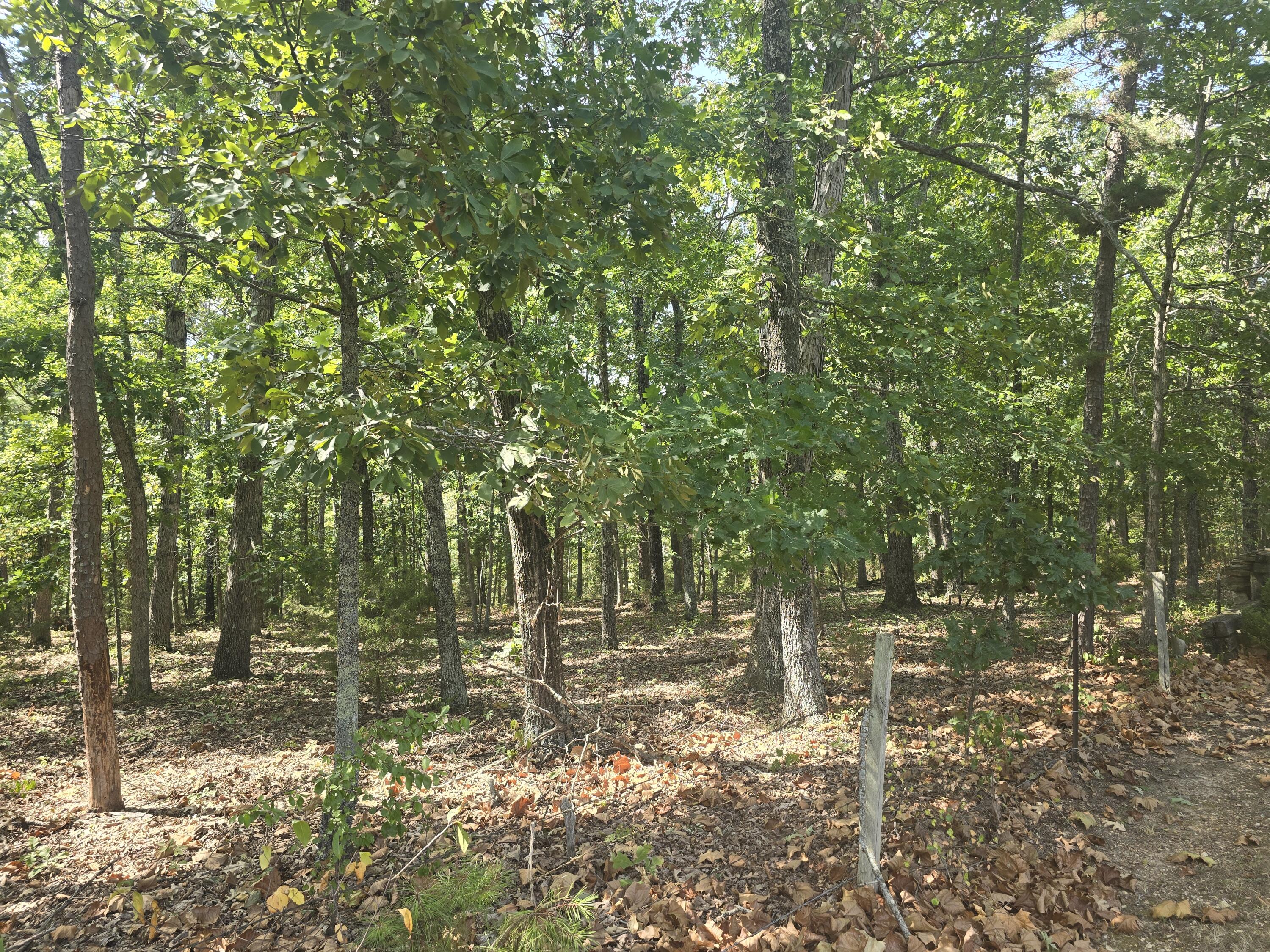 000 Minera Mineral Drive Property Photo 6