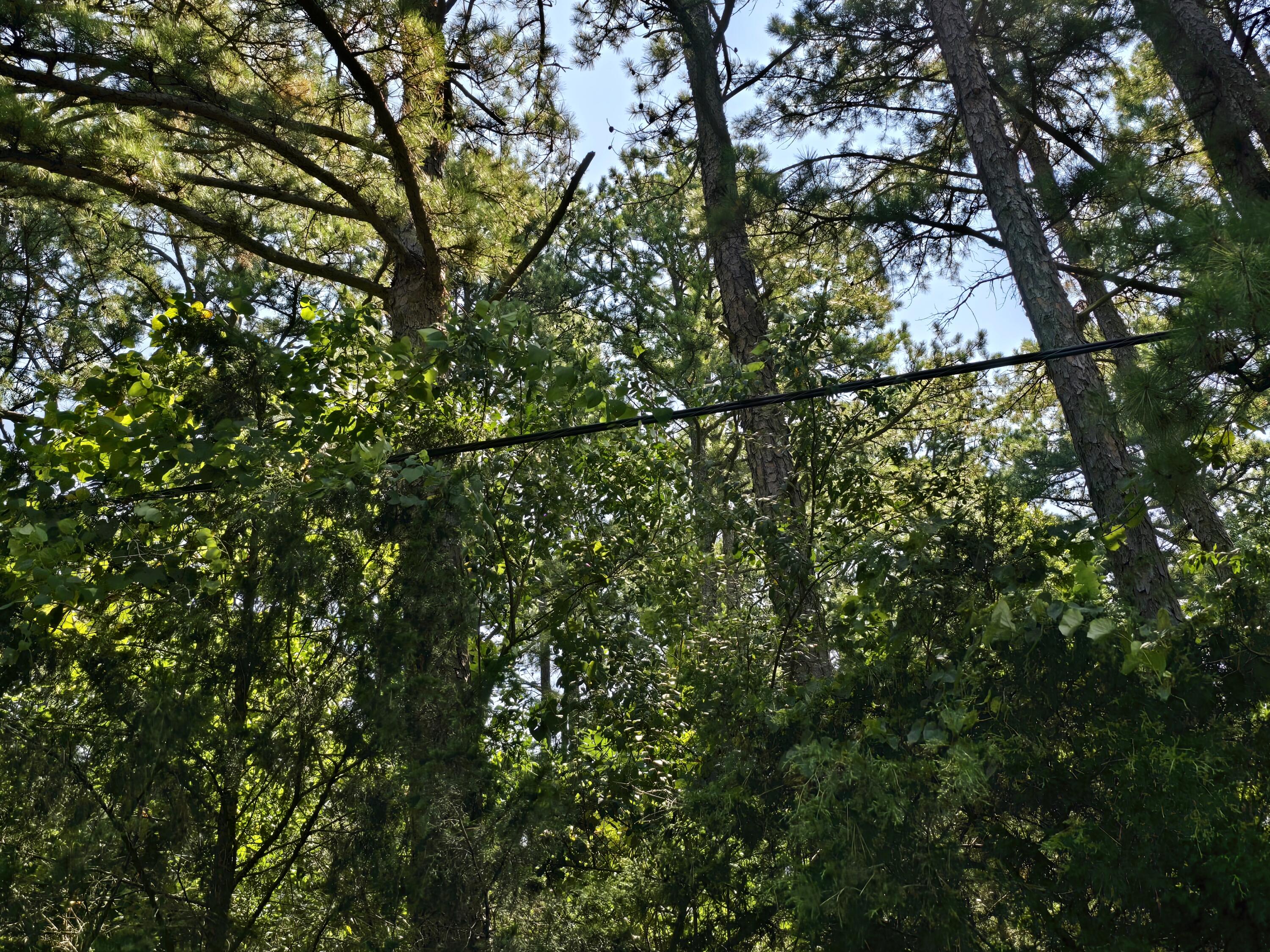 000 Minera Mineral Drive Property Photo 7