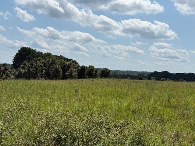 2285 County Road 437-b Property Photo 2