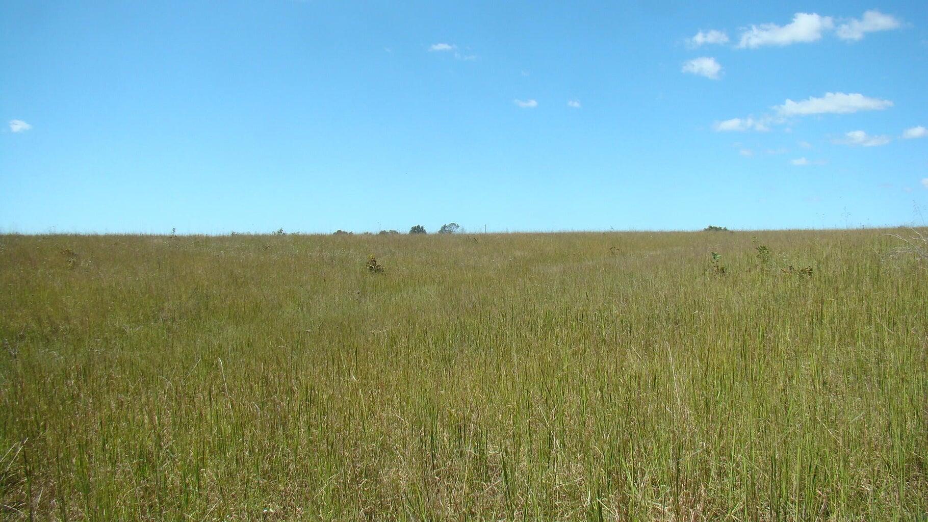 2285 County Road 437-b Property Photo 3