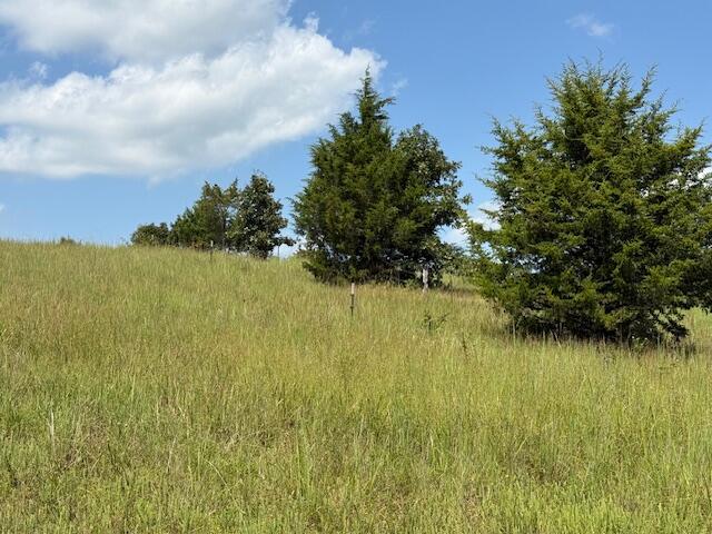 2285 County Road 437-b Property Photo 4