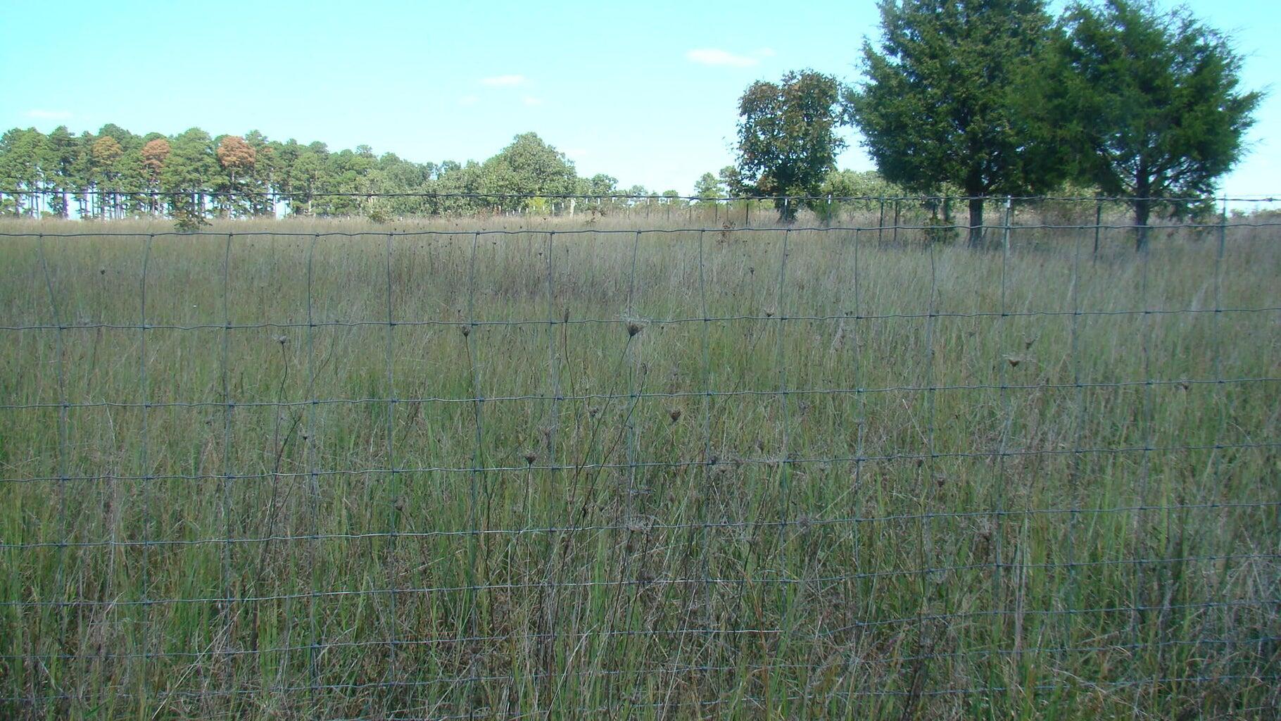 2285 County Road 437-b Property Photo 5