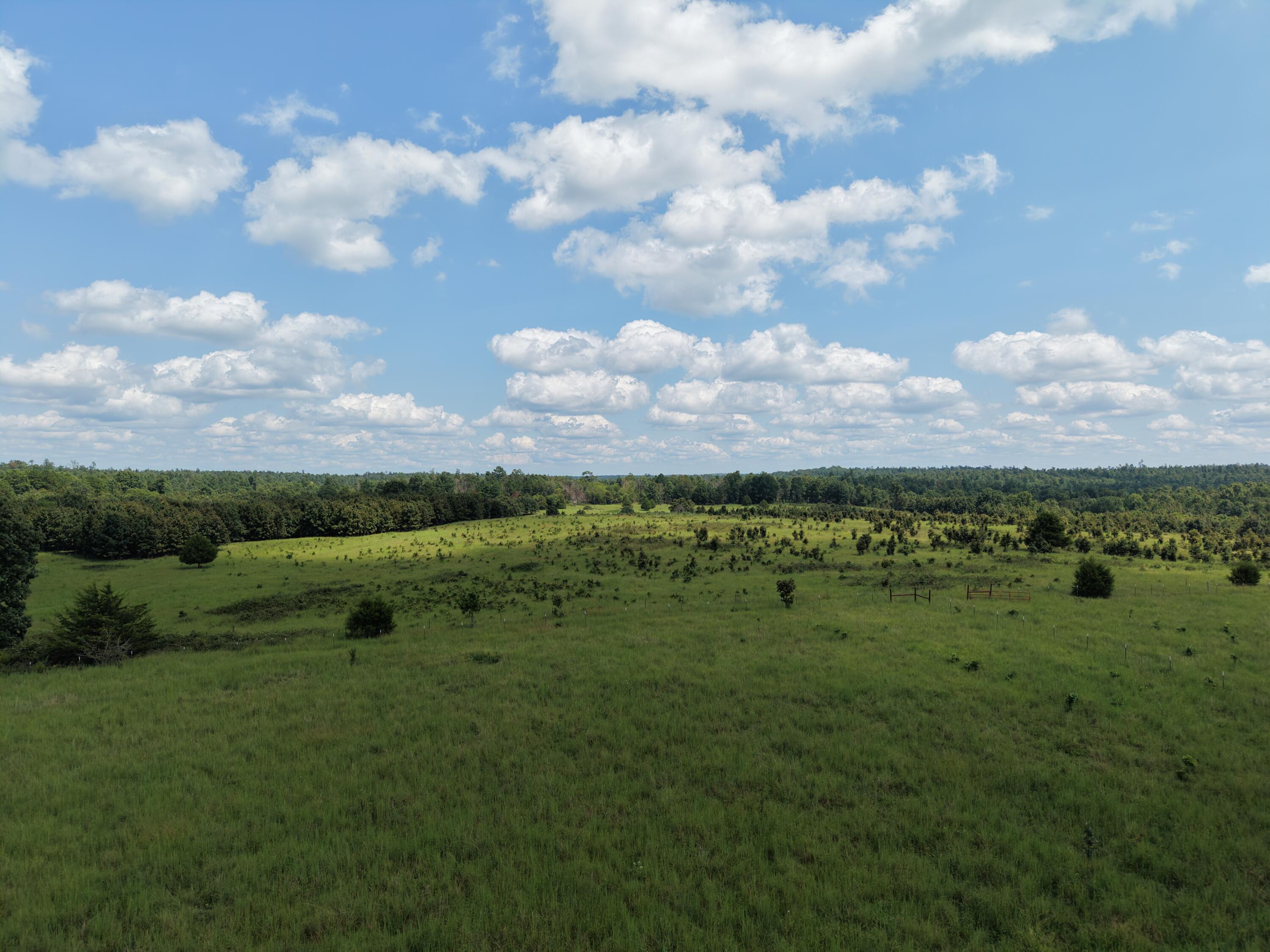 2285 County Road 437-b Property Photo 6