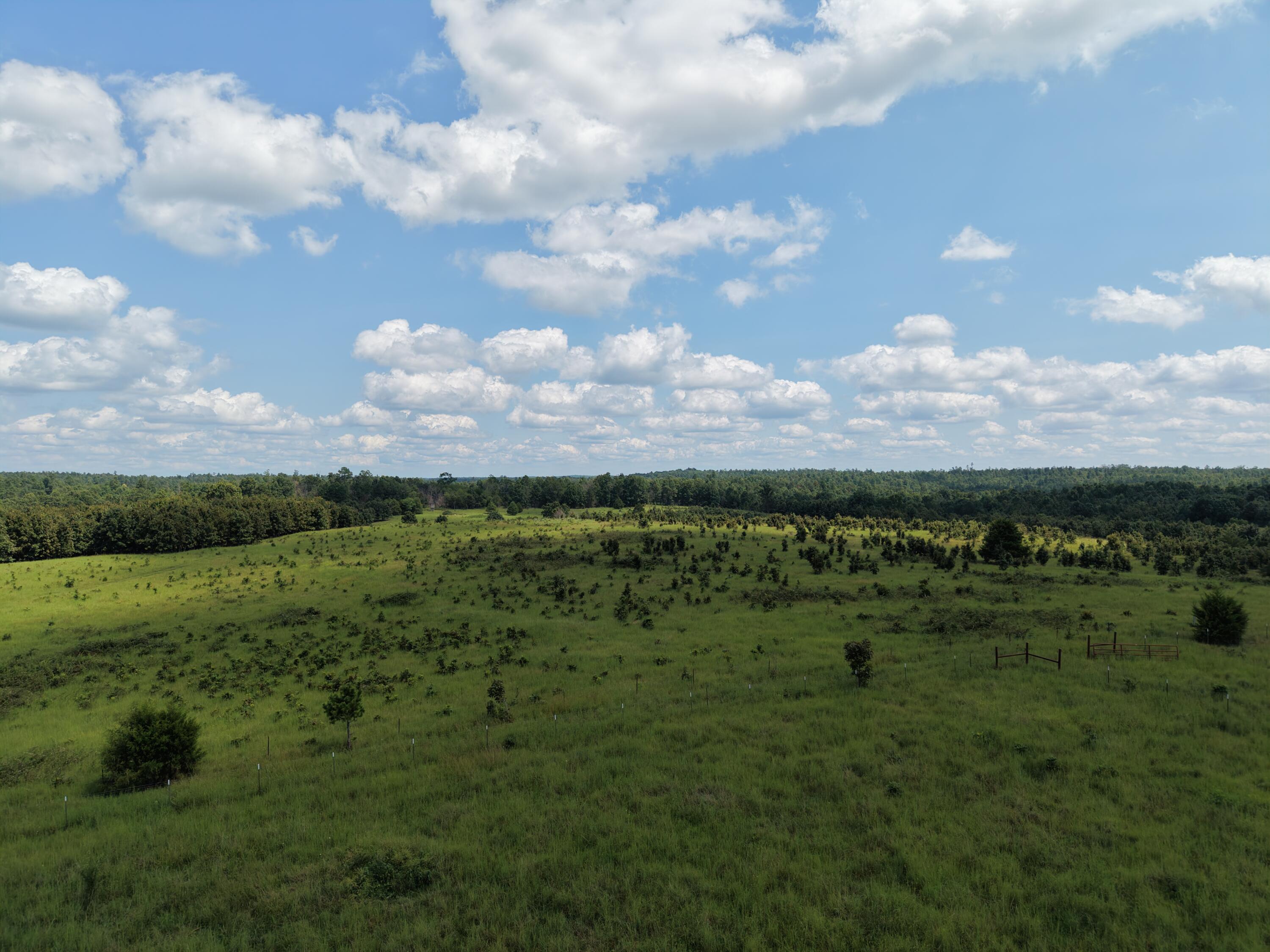 2285 County Road 437-b Property Photo 7