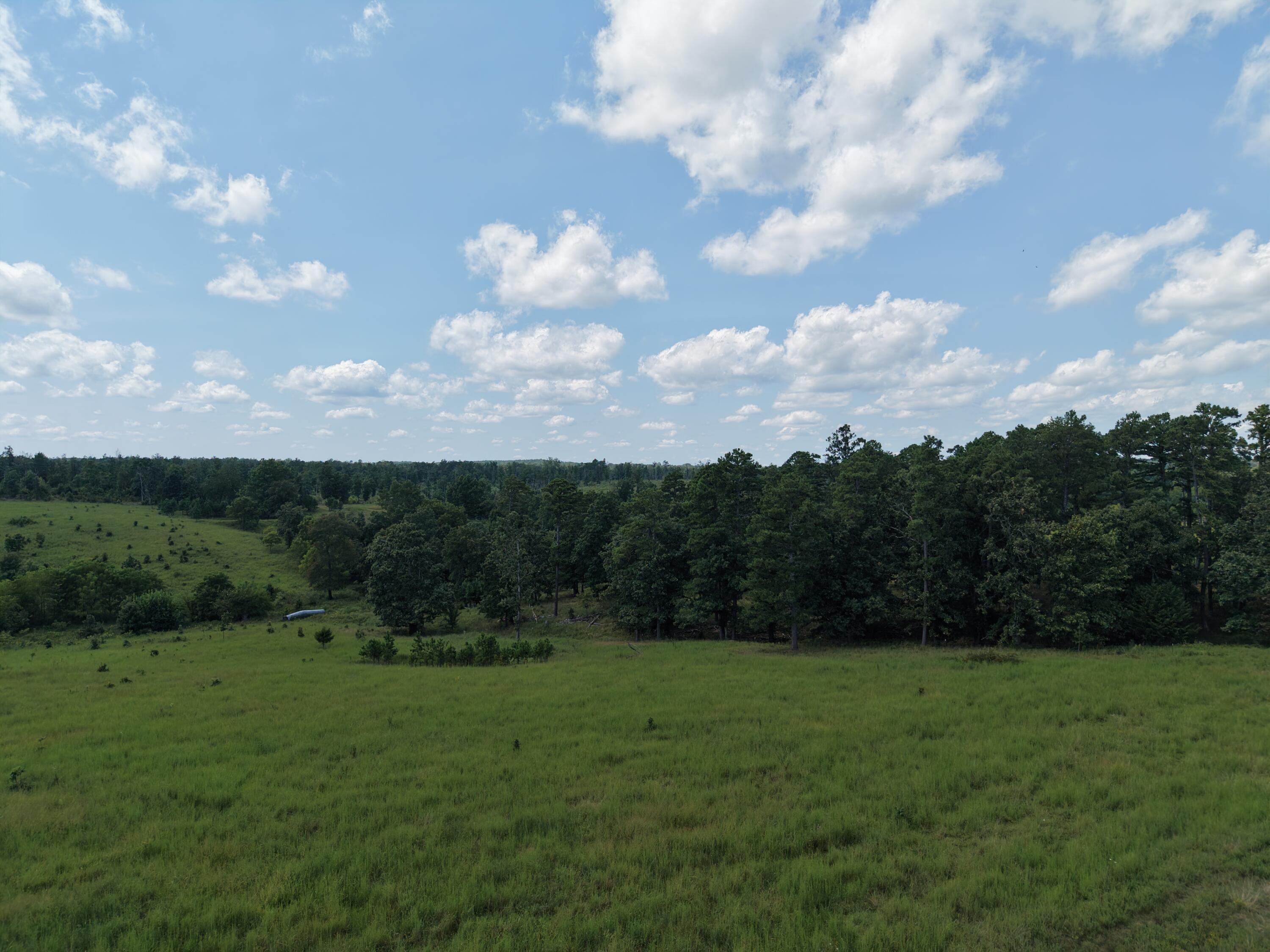 2285 County Road 437-b Property Photo 8