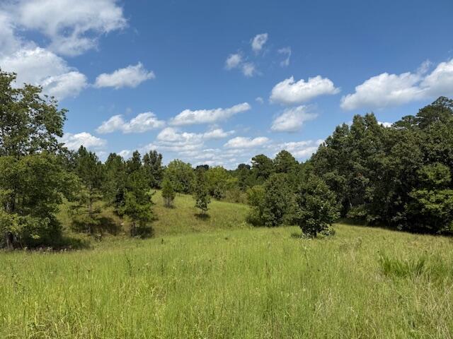 2285 County Road 437-b Property Photo 9