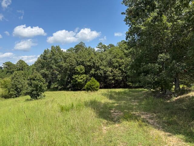 2285 County Road 437-b Property Photo 10