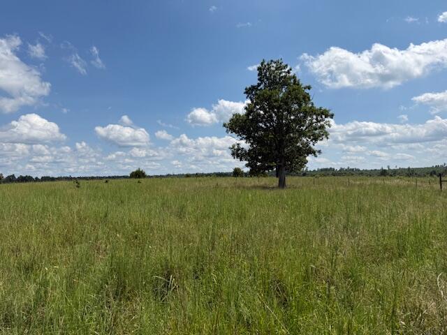 2285 County Road 437-b Property Photo 11