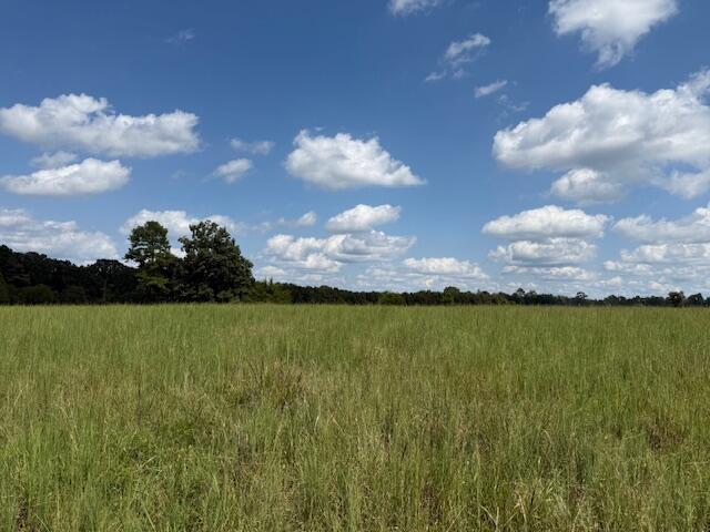2285 County Road 437-b Property Photo 12