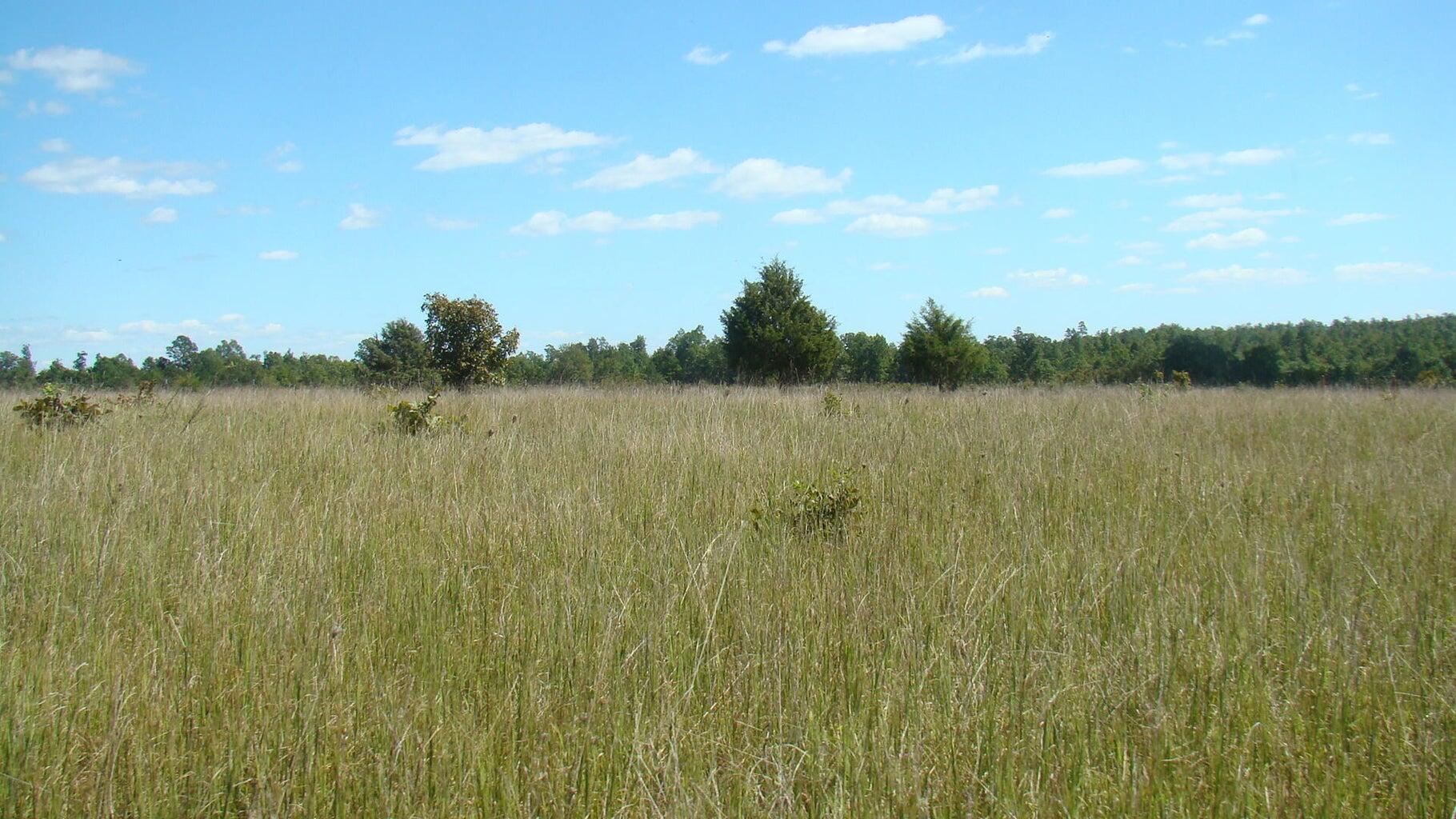 2285 County Road 437-b Property Photo 13