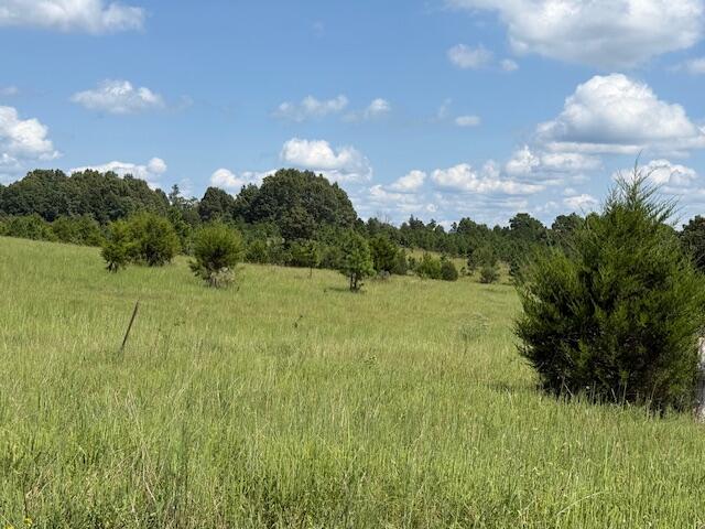 2285 County Road 437-b Property Photo 14