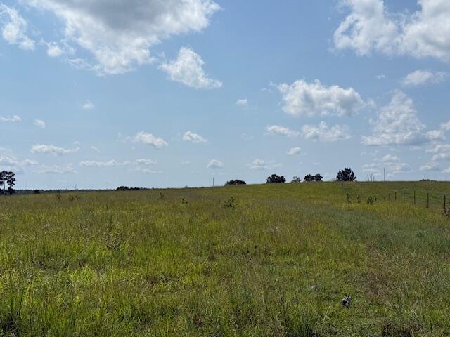 2285 County Road 437-b Property Photo 15