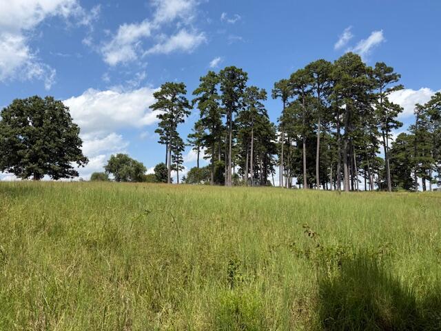 2285 County Road 437-b Property Photo 18
