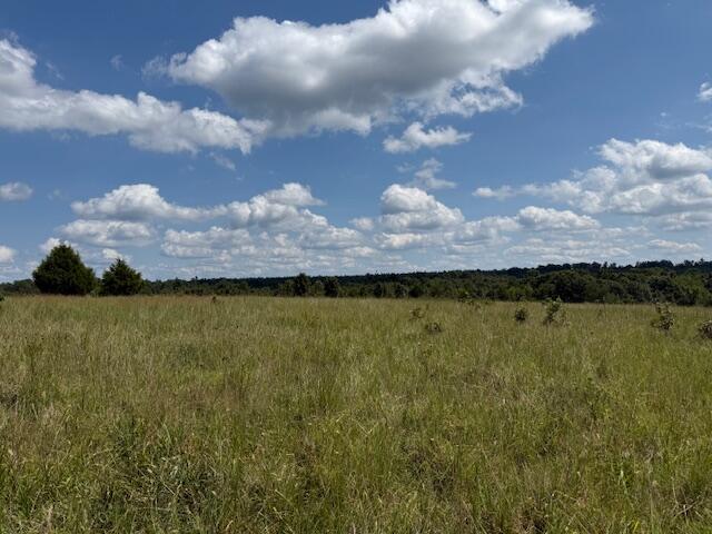2285 County Road 437-b Property Photo 19