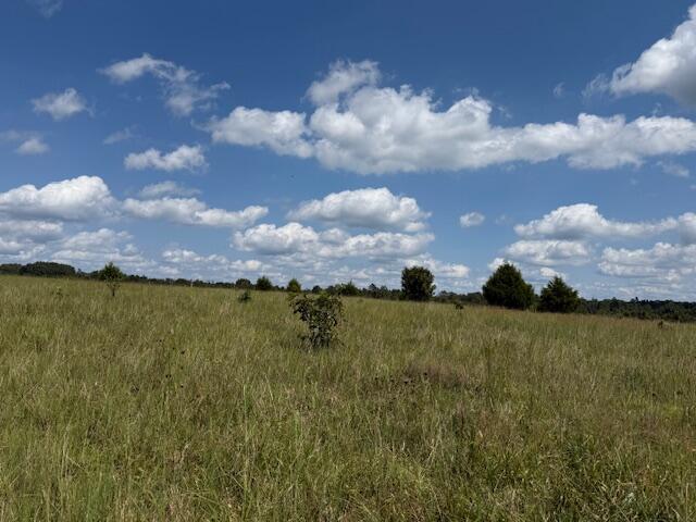 2285 County Road 437-b Property Photo 20