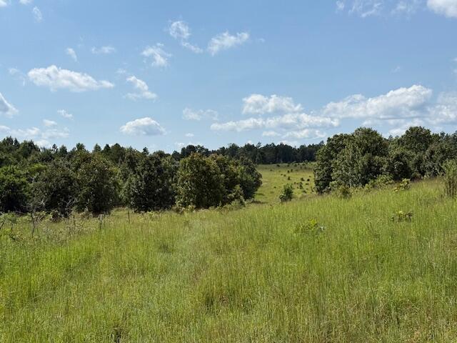 2285 County Road 437-b Property Photo 21