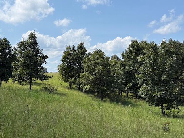 2285 County Road 437-b Property Photo 22
