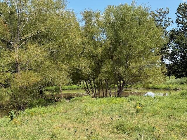 2285 County Road 437-b Property Photo 23