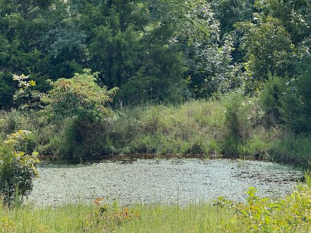 2285 County Road 437-b Property Photo 24