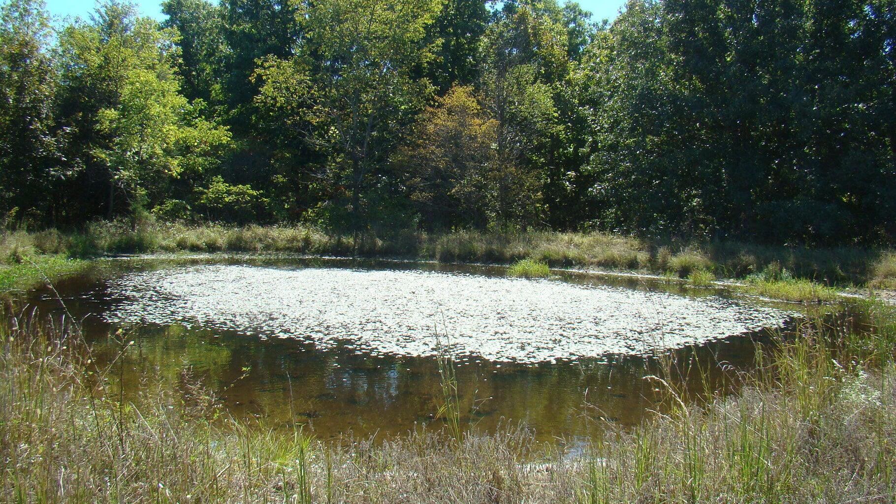 2285 County Road 437-b Property Photo 25