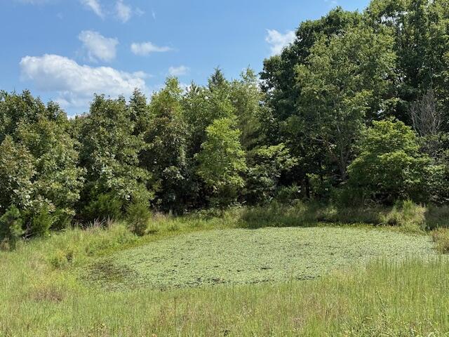 2285 County Road 437-b Property Photo 26