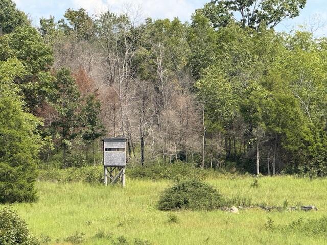 2285 County Road 437-b Property Photo 27