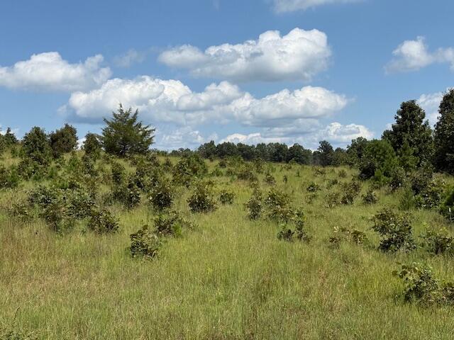 2285 County Road 437-b Property Photo 28