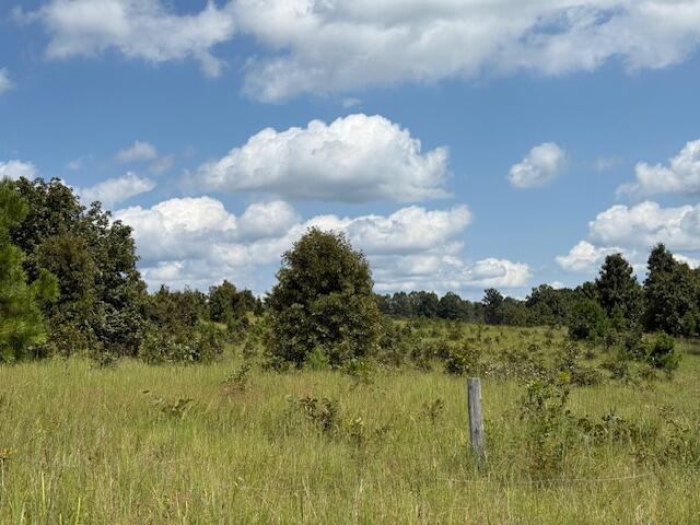 2285 County Road 437-b Property Photo 29
