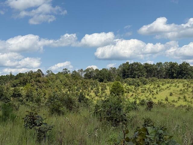 2285 County Road 437-b Property Photo 30
