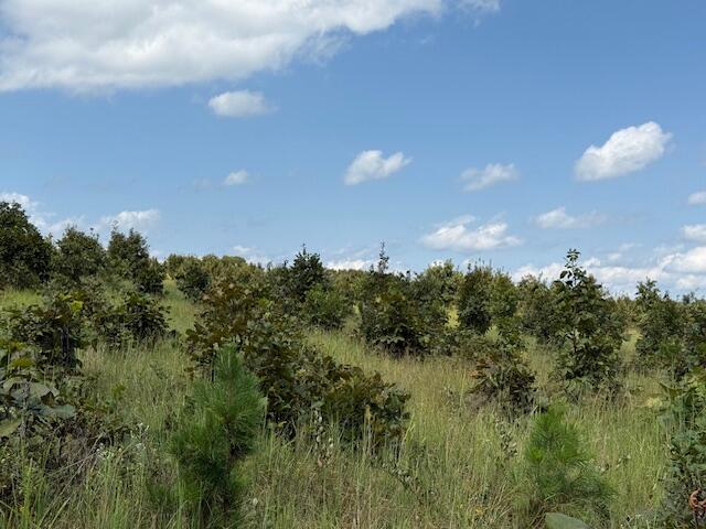 2285 County Road 437-b Property Photo 31