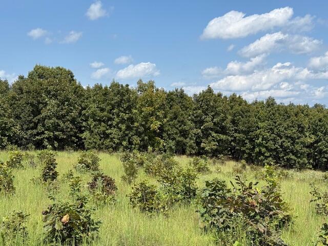 2285 County Road 437-b Property Photo 32
