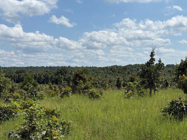 2285 County Road 437-b Property Photo 33