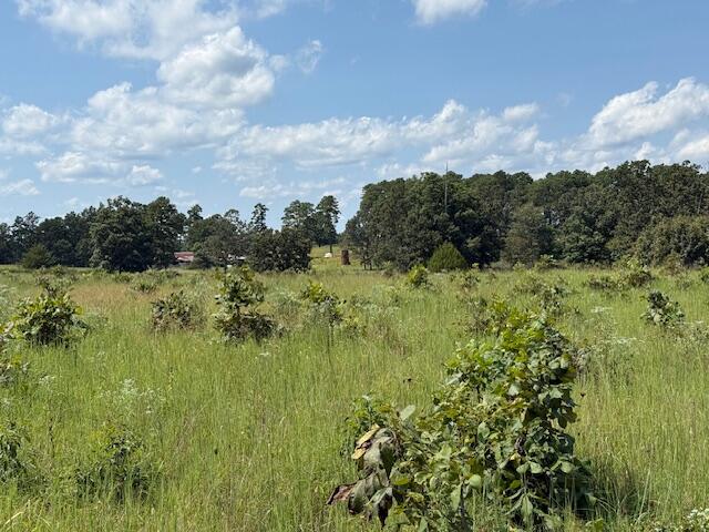 2285 County Road 437-b Property Photo 34