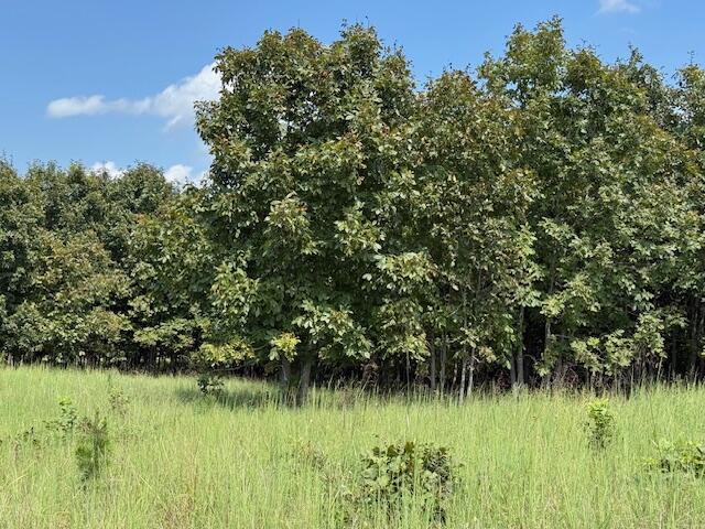 2285 County Road 437-b Property Photo 35