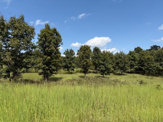2285 County Road 437-b Property Photo 37