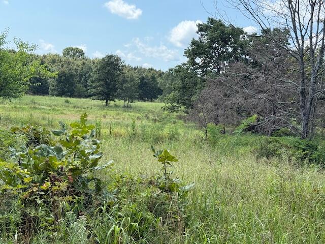 2285 County Road 437-b Property Photo 38