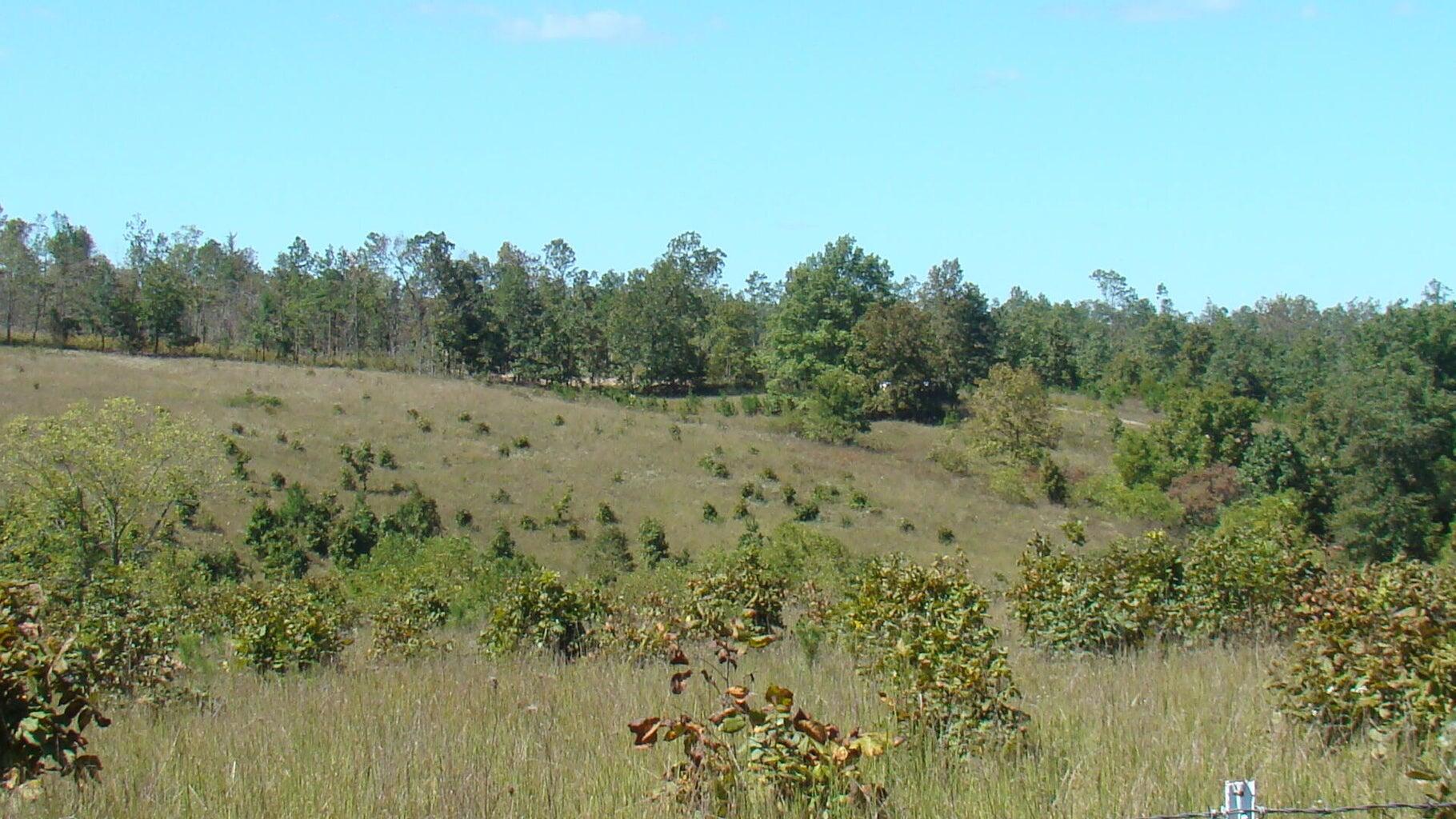2285 County Road 437-b Property Photo 40