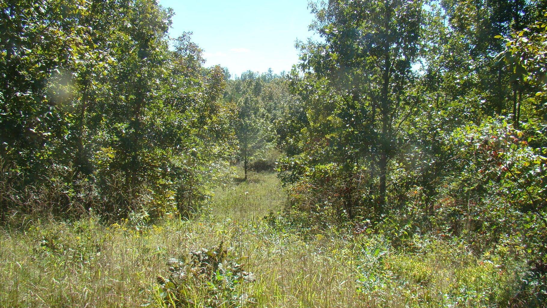 2285 County Road 437-b Property Photo 41