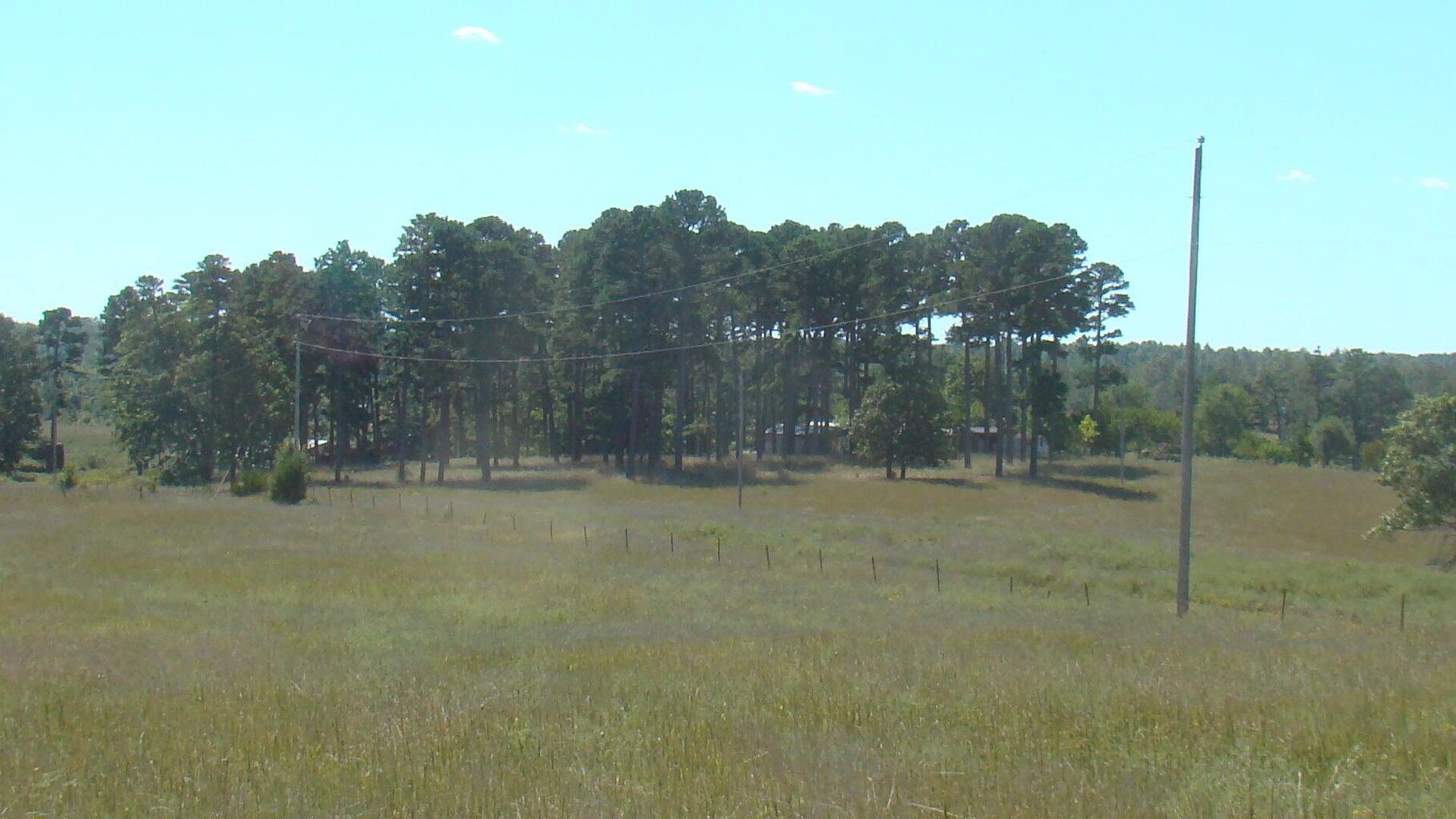 2285 County Road 437-b Property Photo 42