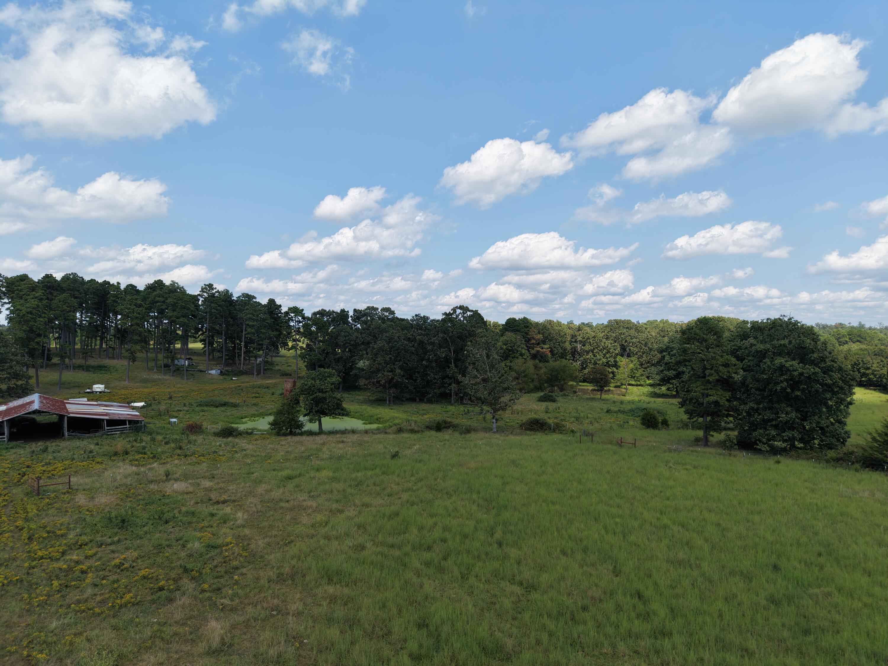 2285 County Road 437-b Property Photo 43