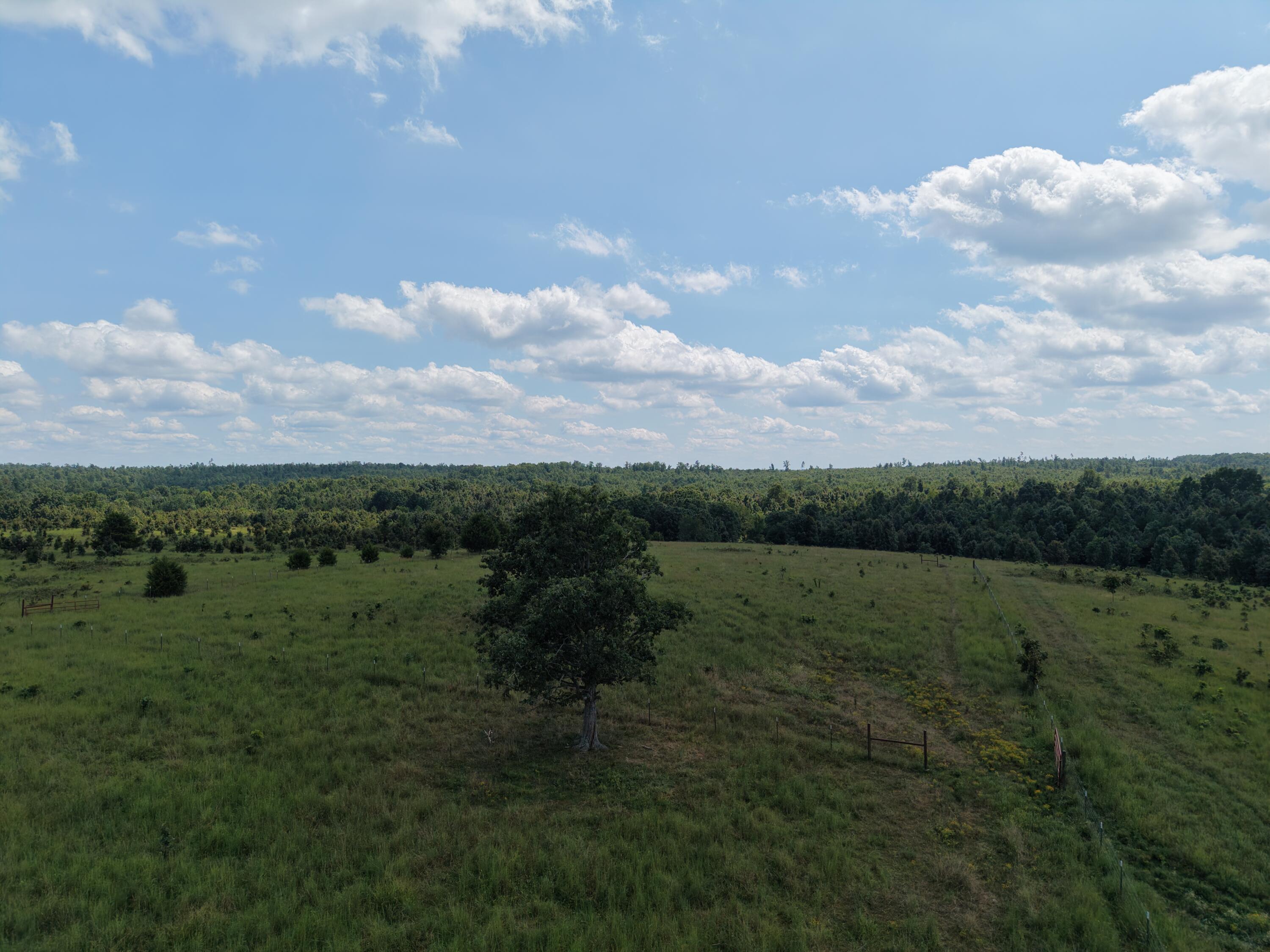2285 County Road 437-b Property Photo 44